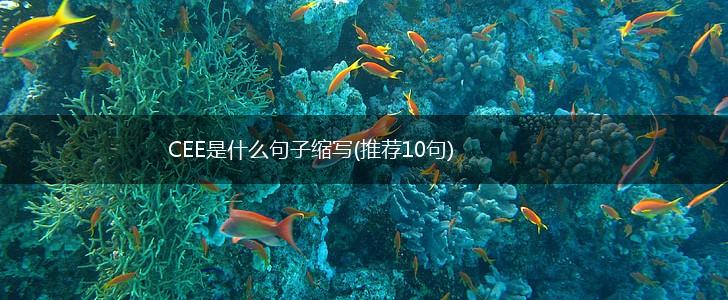 CEE是什么句子缩写(推荐10句),第1张