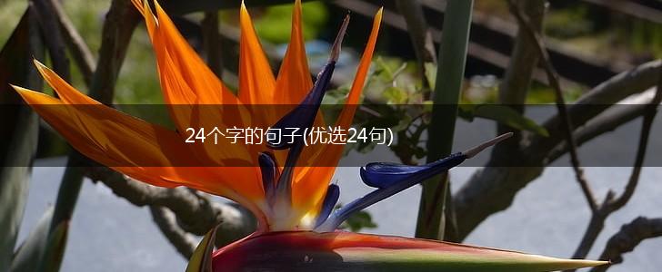 24个字的句子(优选24句),第1张