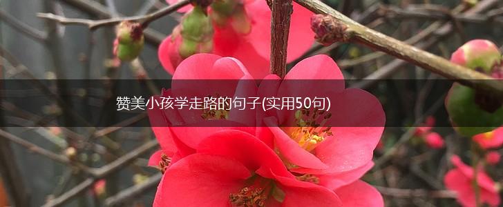 赞美小孩学走路的句子(实用50句),第1张