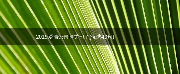 2019爱情语录唯美句子(优选40句),第1张
