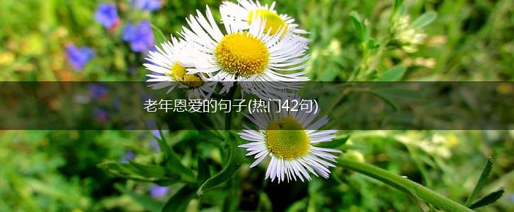 老年恩爱的句子(热门42句),第1张