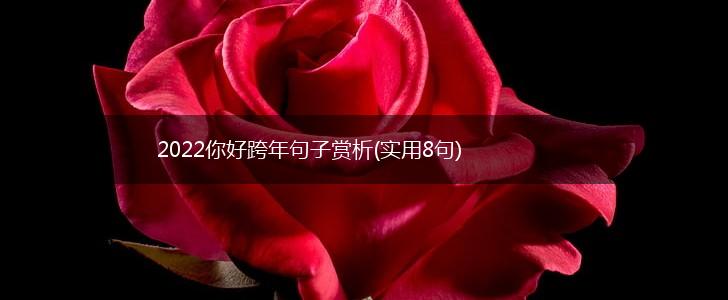 2022你好跨年句子赏析(实用8句),第1张