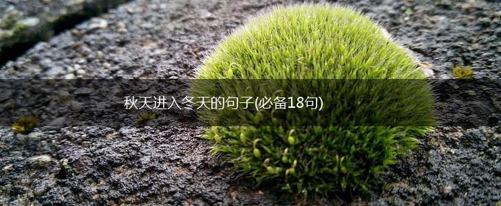 秋天进入冬天的句子(必备18句),第1张
