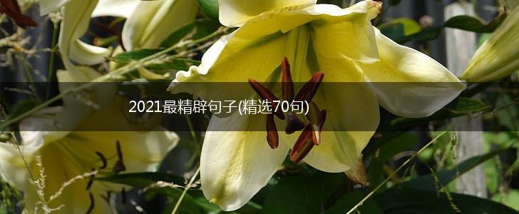2021最精辟句子(精选70句),第1张