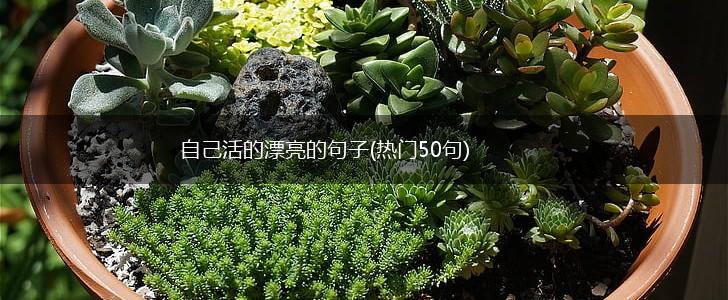 自己活的漂亮的句子(热门50句),第1张