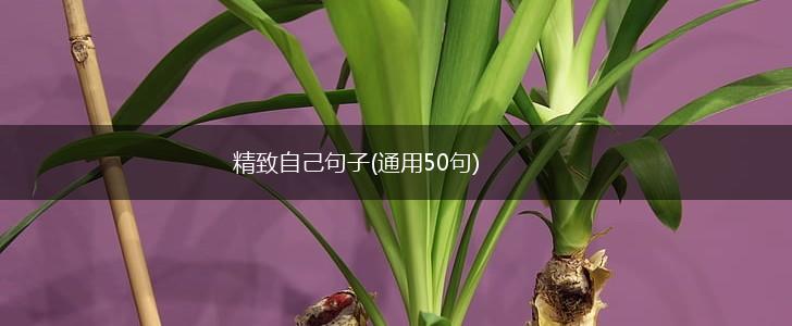 精致自己句子(通用50句),第1张
