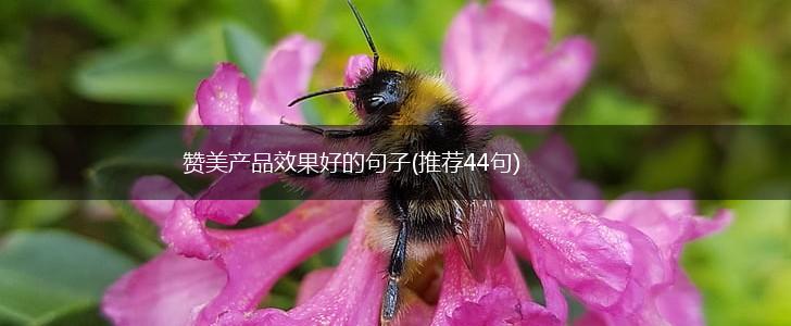 赞美产品效果好的句子(推荐44句),第1张