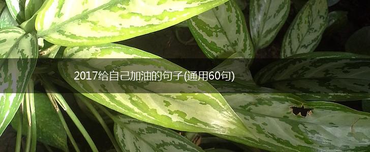 2017给自己加油的句子(通用60句),第1张