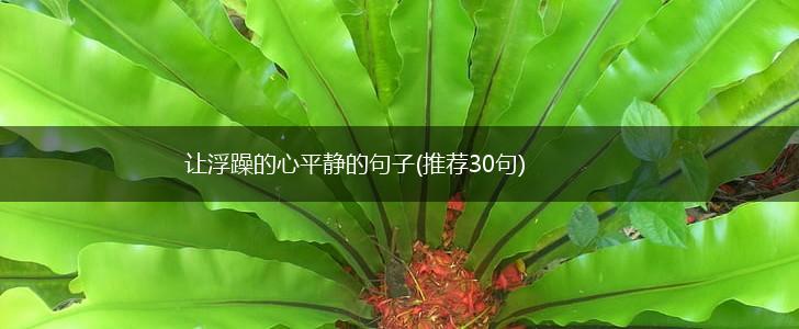 让浮躁的心平静的句子(推荐30句),第1张