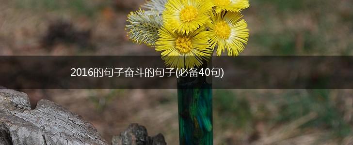 2016的句子奋斗的句子(必备40句),第1张