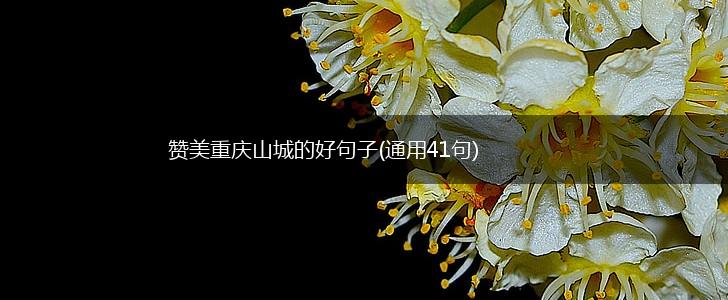 赞美重庆山城的好句子(通用41句),第1张