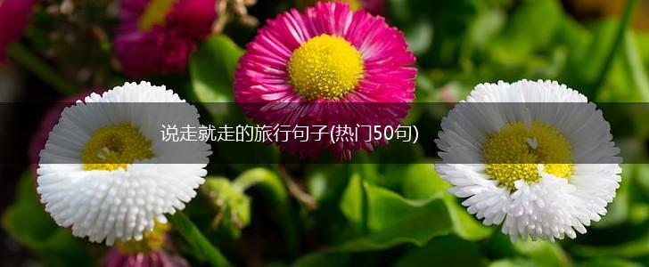 说走就走的旅行句子(热门50句),第1张