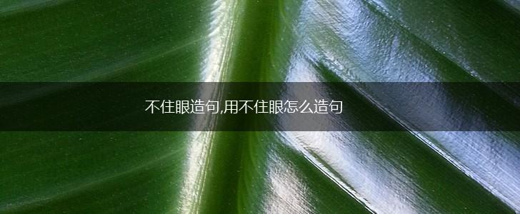不住眼造句,用不住眼怎么造句,第1张