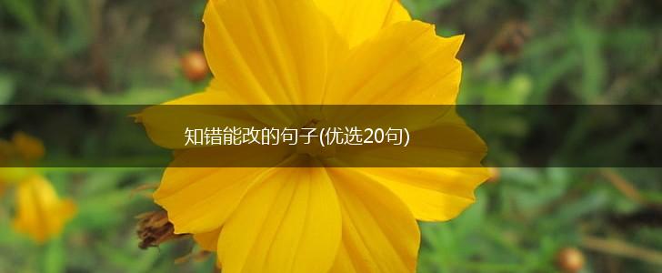 知错能改的句子(优选20句),第1张