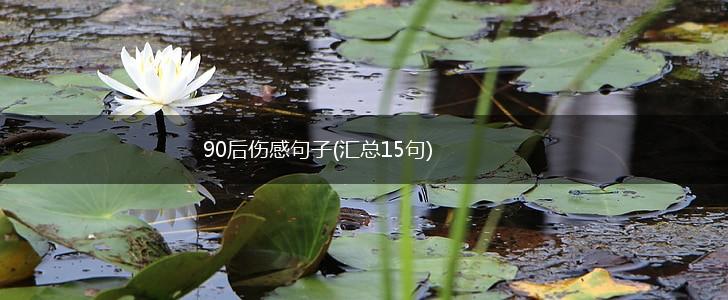 90后伤感句子(汇总15句),第1张