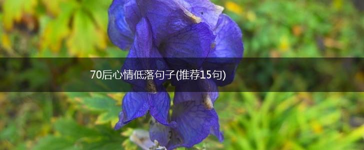 70后心情低落句子(推荐15句),第1张