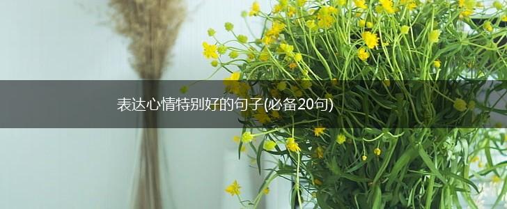 表达心情特别好的句子(必备20句),第1张