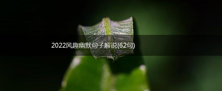 2022风趣幽默句子解说(62句),第1张