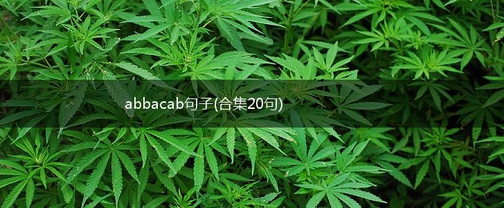 abbacab句子(合集20句),第1张