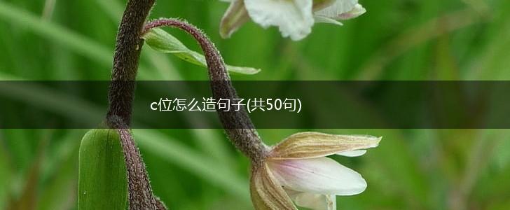 c位怎么造句子(共50句),第1张