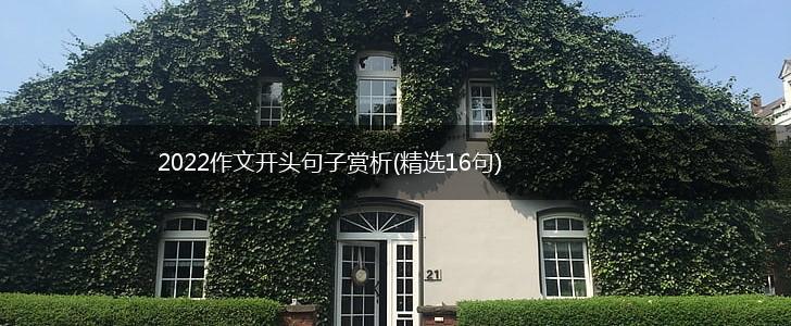 2022作文开头句子赏析(精选16句),第1张