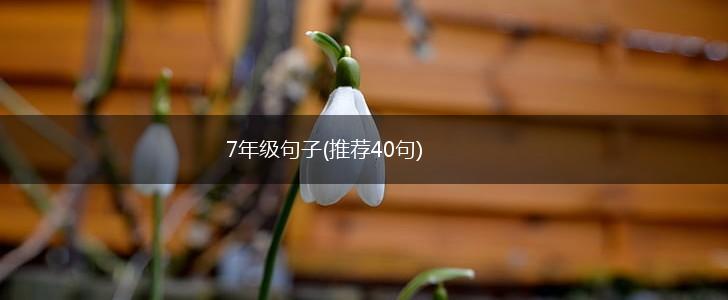 7年级句子(推荐40句),第1张