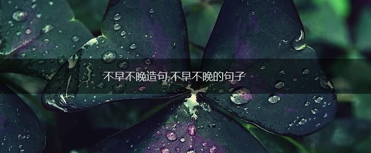 不早不晚造句,不早不晚的句子,第1张