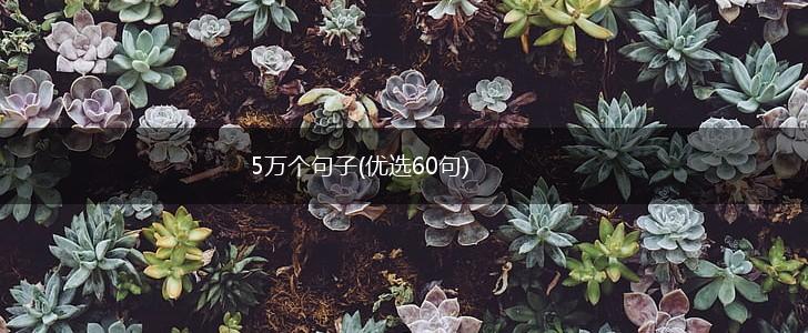 5万个句子(优选60句),第1张