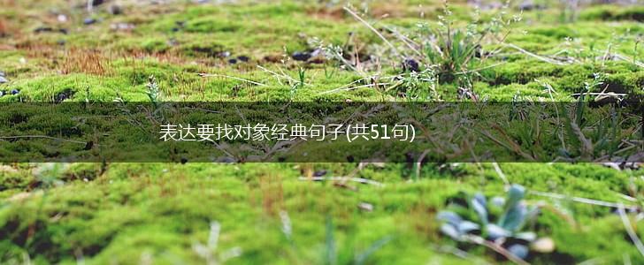 表达要找对象经典句子(共51句),第1张