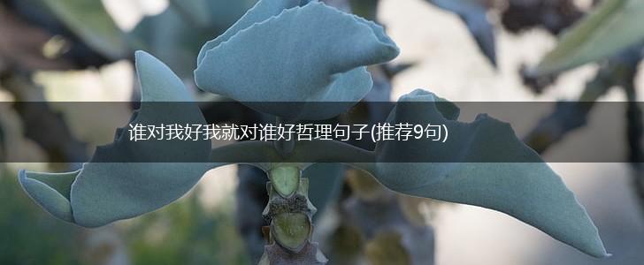 谁对我好我就对谁好哲理句子(推荐9句),第1张