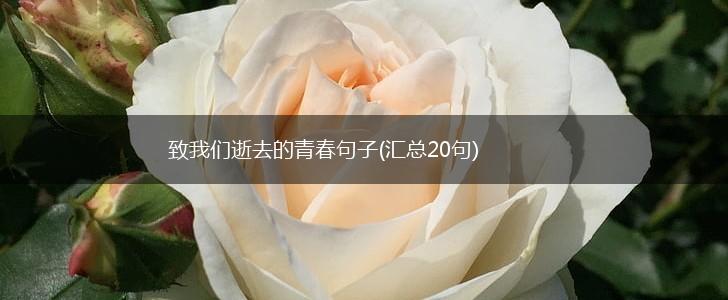 致我们逝去的青春句子(汇总20句),第1张