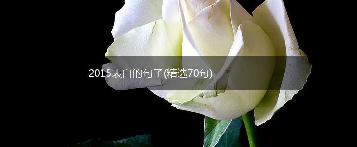 2015表白的句子(精选70句),第1张