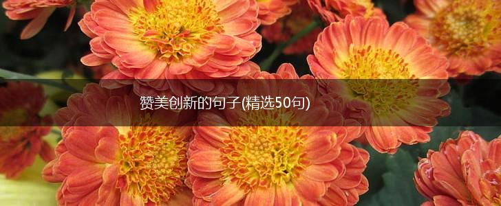 赞美创新的句子(精选50句),第1张