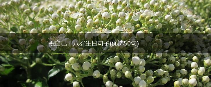 祝自己十八岁生日句子(优选50句),第1张