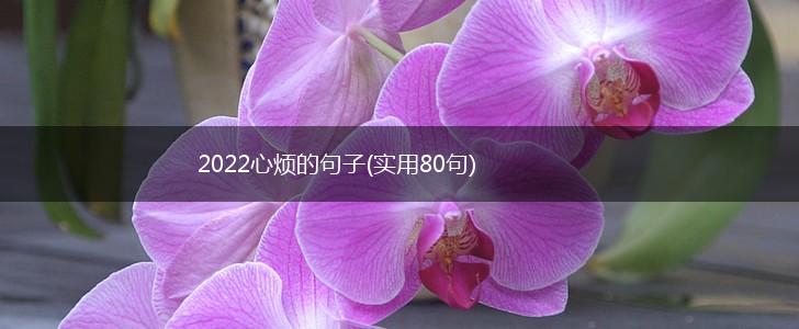 2022心烦的句子(实用80句),第1张