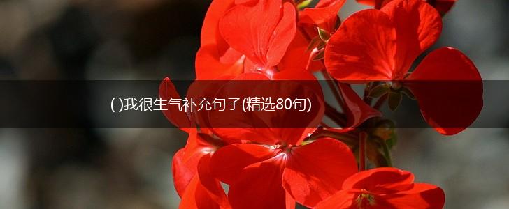 ( )我很生气补充句子(精选80句),第1张