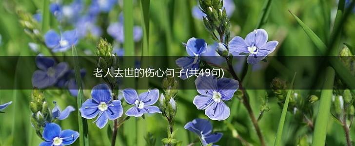 老人去世的伤心句子(共49句),第1张