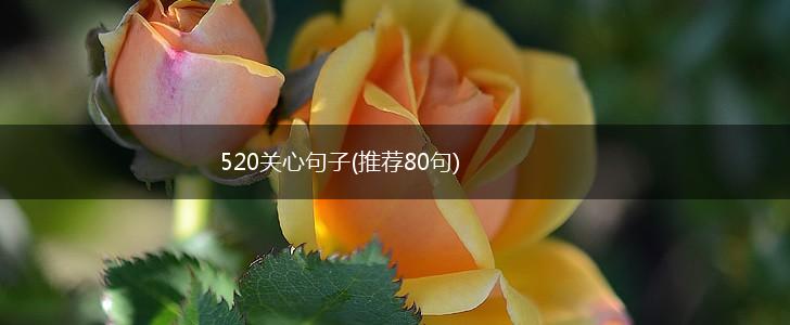 520关心句子(推荐80句),第1张
