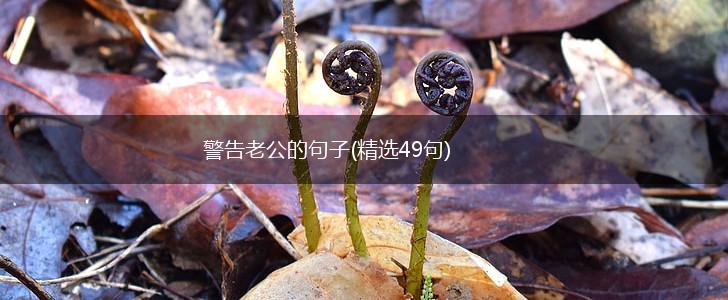 警告老公的句子(精选49句),第1张