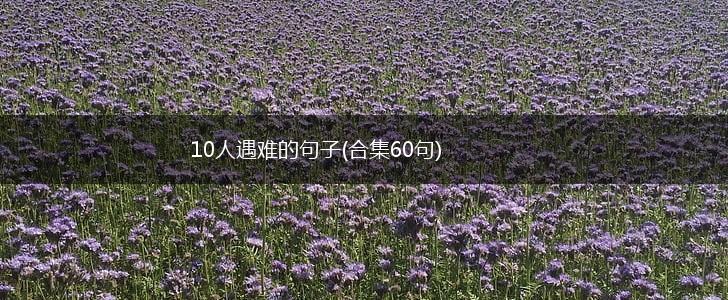 10人遇难的句子(合集60句),第1张