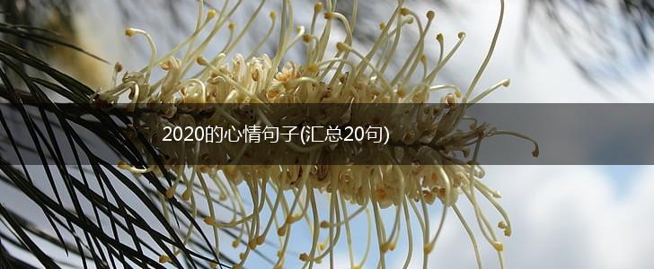 2020的心情句子(汇总20句),第1张