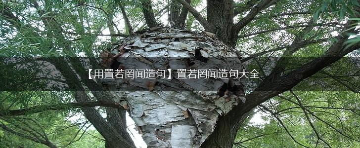 【用置若罔闻造句】置若罔闻造句大全,第1张