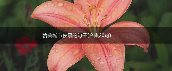 赞美城市夜景的句子(合集20句),第1张