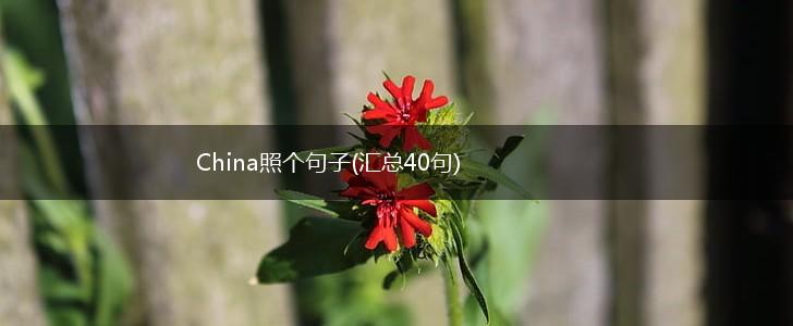 China照个句子(汇总40句),第1张