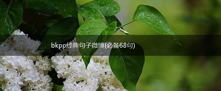 bkpp经典句子微博(必备68句),第1张