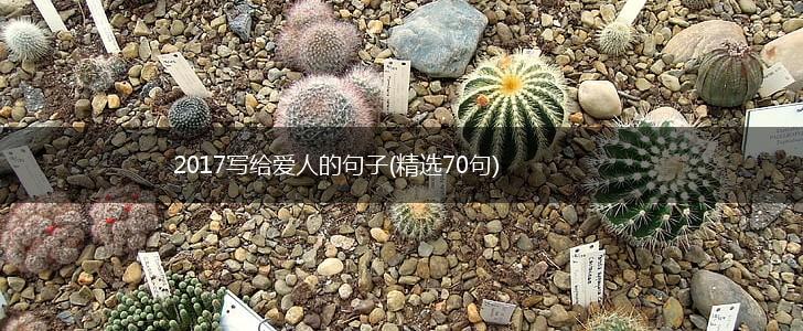 2017写给爱人的句子(精选70句),第1张