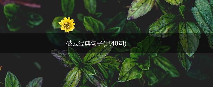 破云经典句子(共40句),第1张