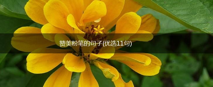 赞美粉笔的句子(优选11句),第1张