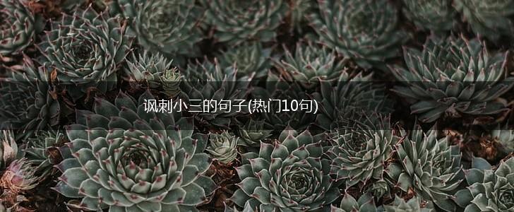 讽刺小三的句子(热门10句),第1张