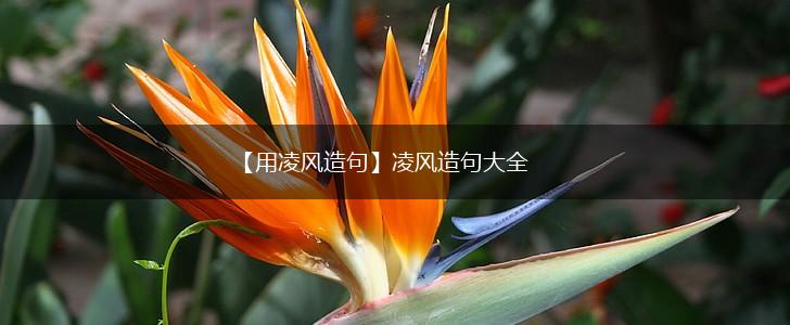 【用凌风造句】凌风造句大全,第1张